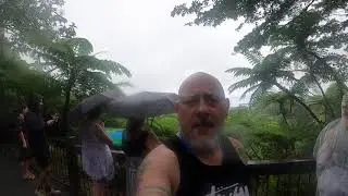 Daintree and Cape Tribulation