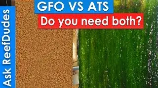 GFO VS  an Algae Turf Scrubber - Do you need both? - AskReefDudes
