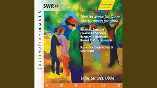 Oboe Concerto in D Major: I. Allegro moderato