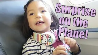 SURPRISE ON THE PLANE! - October 30, 2015 -  ItsJudysLife Vlogs