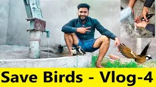 Save Birds Vlog - 4 || Rajput Jony || Harsh Munshi || Dimple