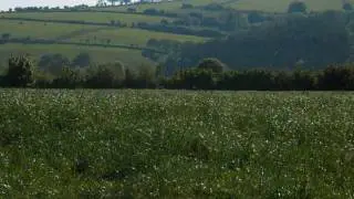 Don't let Devon go to waste on 5th may