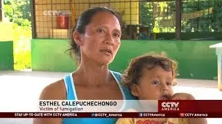 Colombia's Fumigation Impacts Ecuadorian Farmers