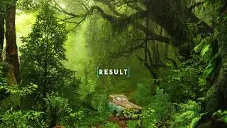 Image to 3D Scene - Making 3D Forest with image in After Effects
