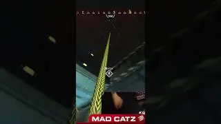 Monday's Madcatz Moment | CloverWZY - Aliens