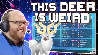 Looking For The Best Wyrdeer Team In VGC 2023 Regulation D? Look No Further!