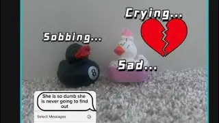 Duck drama !!! 😲🫣who wants the second movie 🍿???