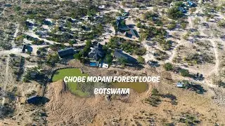 CHOBE MOPANI FOREST LODGE BOTSWANA