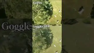 Caddx Vista Disconnect