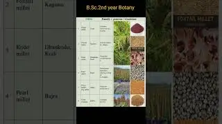 CEREAL and MILLETS #botany #botanynotes #gajkesaribiology #botanypreviousquestions #bscagriculture