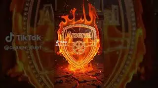 arsenal fans