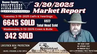 📈 3/20 Cattle Market Report &ndash; Beaver County Stockyards | 6,977 Head Sold This Week!