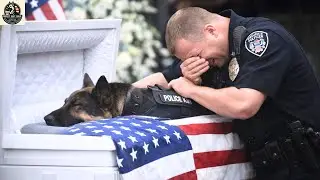 Dogs Funeral  Police K9 & Military Dogs . Thank You for Your Service! |  top best dog training