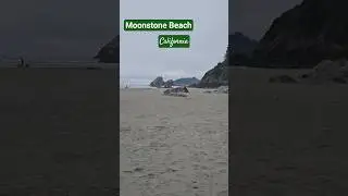 Moonstone Beach Life N California
