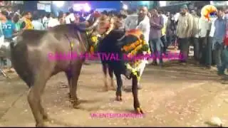 Sadar Festival 2016 II Buffalo Carnival of Khairatabad II TELANGANA