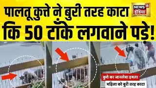 पालतू कुत्ते ने इतनी बुरी तरह काटा कि 50 टाँके लगवाने पड़े! Bengaluru News | Dog Attack | Hindi News
