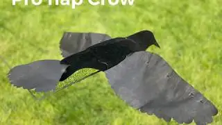 The new Pro Flap Crow flapping decoy for Magnet or bouncer from A1decoy.