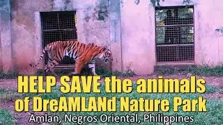 Help SAVE the animals of Dreamland Nature Park - Amlan, Negros Oriental