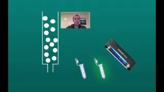 GFP Purification
