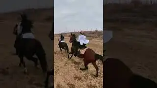 Girl care horse and training horse in beginner