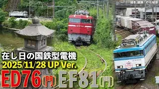 在し日の国鉄型電機 ED76〔門〕&　 EF81〔門〕2025/11/28 UP Ver.