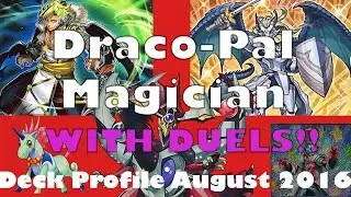 BEST Draco-Pal Magician (WITH DUELS) Deck profile AUGUST 2016