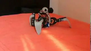 Stand Up - QuadrupedXX