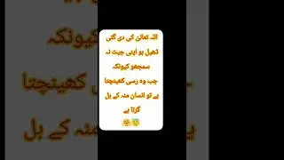 new episode is on channel#Urdu Novels # shorts video#romantic Urdu novels#islamic video#Urdu quotes