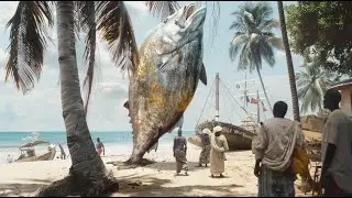 Giant Grouper Fishing, How To Catch Strongest Groupers & Sharks on Beach Amazing fishing skill