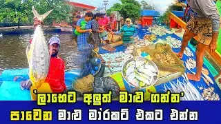 AMAZING FLOATING FISH MARKET IN SRI LANKA I YOU CAN BUY FRESH FISH FOR CHEAP PRICE