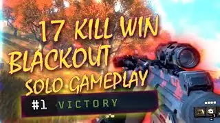 17 Kill Solo Victory | CoD BLACKOUT