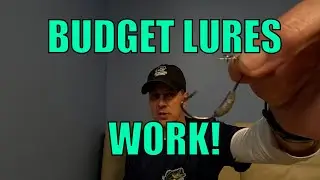 Budget Bass Fishing Lures That Catches BIG Fish! $2 Temu Lure vs Expensive Brands