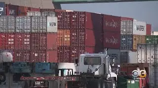 Staffing Shortage At Packer Avenue Marine Terminal Playing Role In Supply Chain Shortage