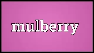 Mulberry Meaning
