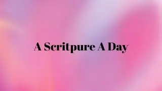 Philippians 4:8 - Good Report; think on these things.
