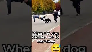 what a dog doing???🤣🤣 #funny #memes #dogememes