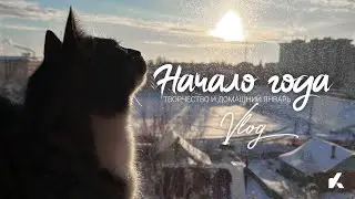 Начало года, творчество и домашний январь. Возвращаю влоги. | #Kotanika