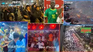 🦁Du jamais vu🫢Sacre des Lions_Tour du monde des manifestātions Algérie,France,Mali, Côte d’Ivoire