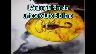 L'Ambra del Simeto, un Tesoro Siciliano