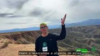 CEE Ntra. Sra. de la Esperanza  de Guadix. Descubriendo el Geoparque de Granada. La Cantera de AD.