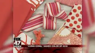 Pantone announces its 2019 color of the year