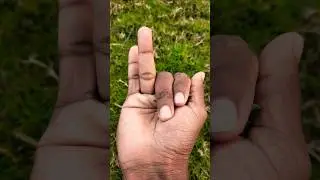 Самый большой блестящий жук 🤗🍀🌻🍀🤩🥰, которого я когда-либо встречал в своем роде #насекомые #приро...