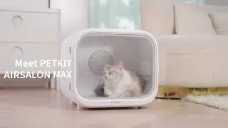 PETKIT AIRSALON MAX | SMART PET DRYER BOX