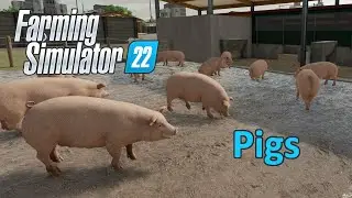 Обучающее видео Farming Simulator 22 | Свиньи