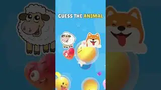 Are You Fast Enough to Win This Quiz Challenge? #quizgame #quiztime