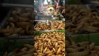 Inside the Slimy World of Asia&rsquo;s Giant Worm Market@Curryliciousstreet-Ai