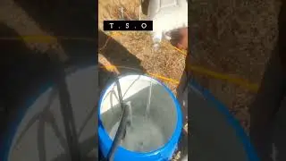 #T.S.O   tree spray oil in apple orchard  #Anshisharma #Shorts #appletreesspray