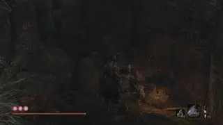 Sekiro: Shadows Die Twice - Third Part of Jinzaemon Questline