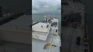 #047 How to Join Merchant Navy as A Deck Officer in India? 🇮🇳 #shorts #youtubeshorts #trending