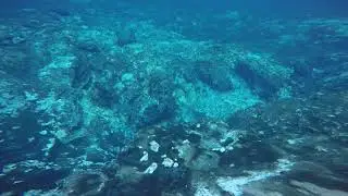 Blue Springs Dredging - Levy County, Florida